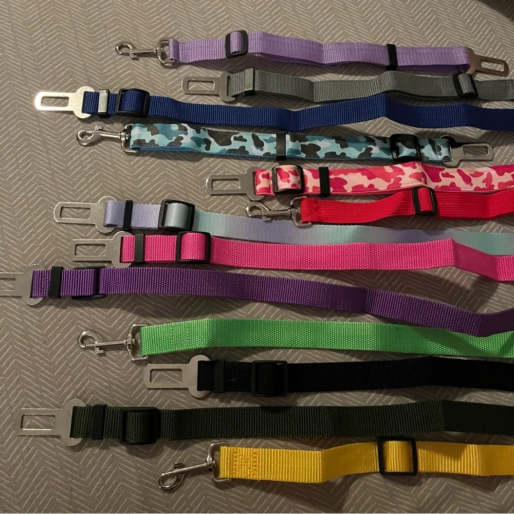 PET SEATBELT